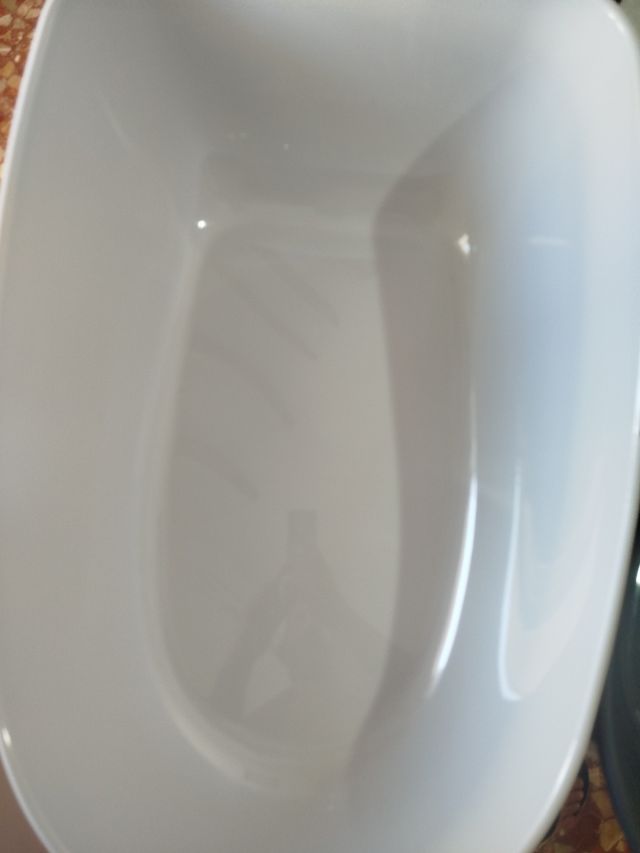 Arena gato: bandeja higiénica