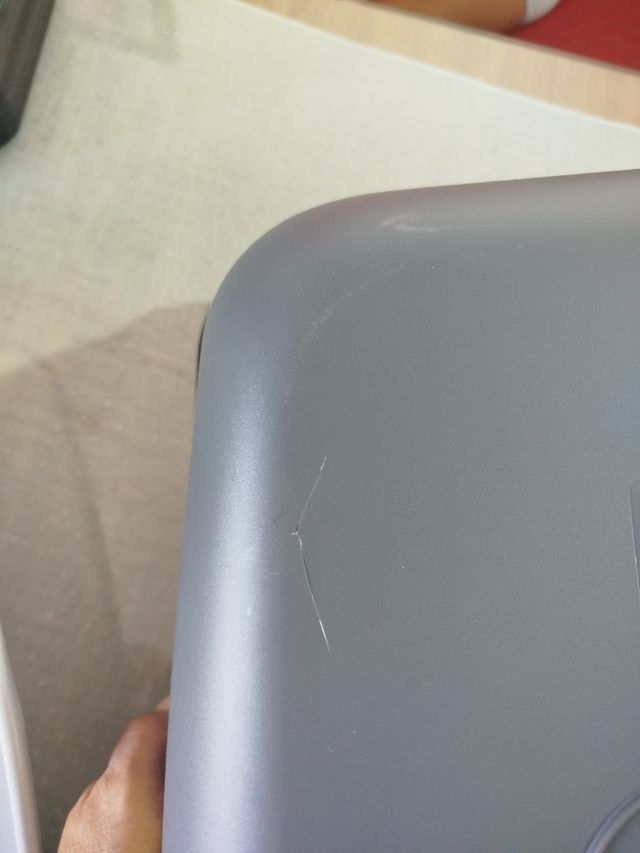 Arena gato: bandeja higiénica