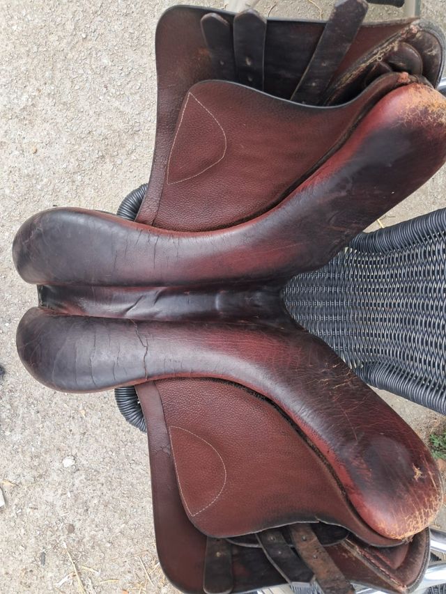 Silla montar inglesa clásica