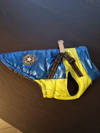 Giubbotto pettorina cane blu-giallo