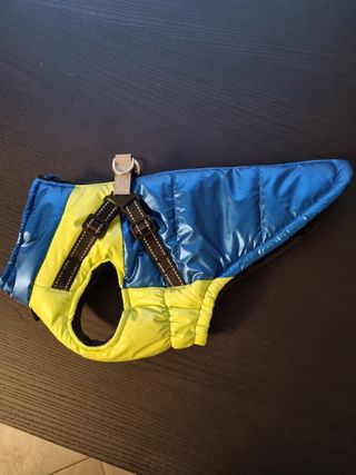 Giubbotto pettorina cane blu-giallo