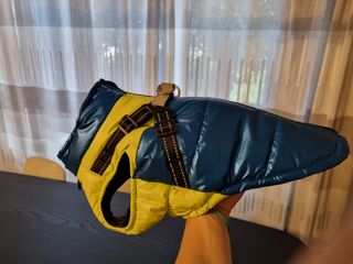 Giubbotto pettorina cane blu-giallo