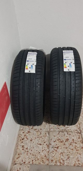 Neumáticos Michelin Pilot Sport 4 SUV 225/55R19 99