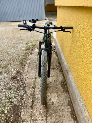 WRC 29 special carbono sx eagle