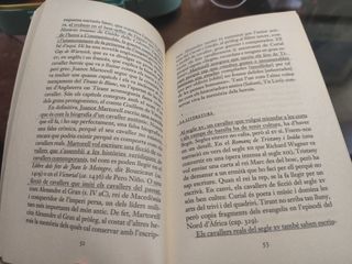 Tirant lo Blanc. Episodis amorosos