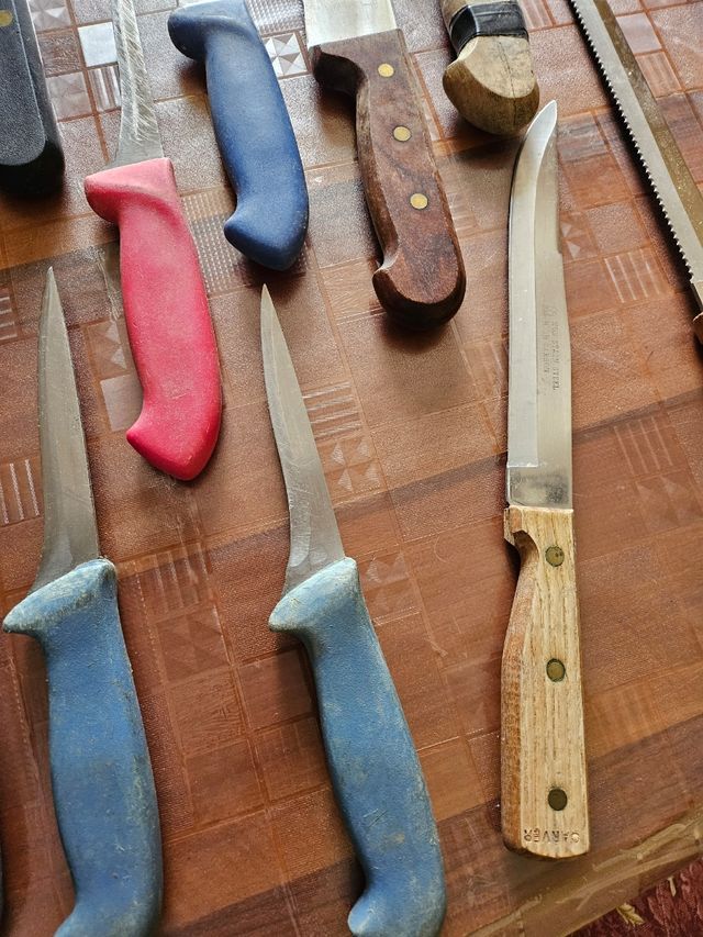 Coltelli cucina - 12 pezzi