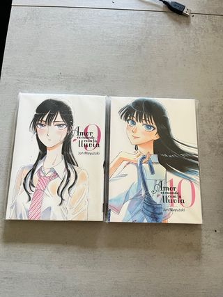 Amor es cuando cesa la lluvia, vol. 9-10