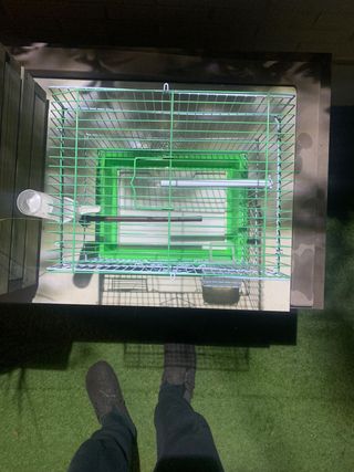 Jaula pajaros, se negocia precio