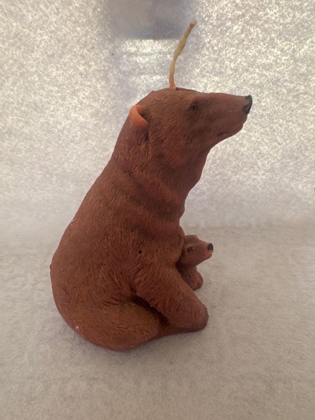 Candela orso e cucciolo