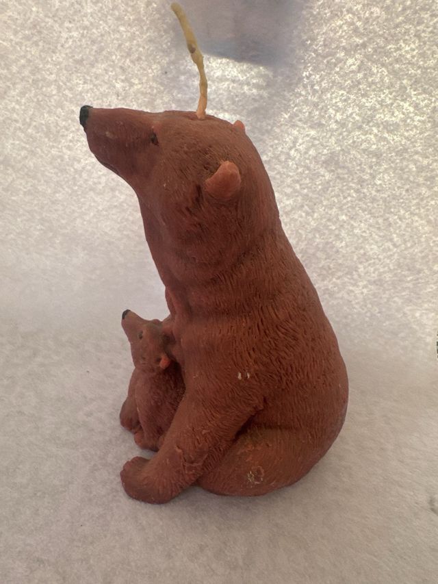 Candela orso e cucciolo