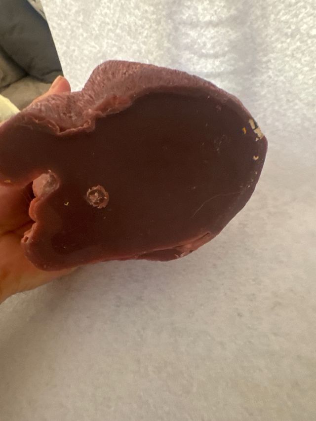 Candela orso e cucciolo