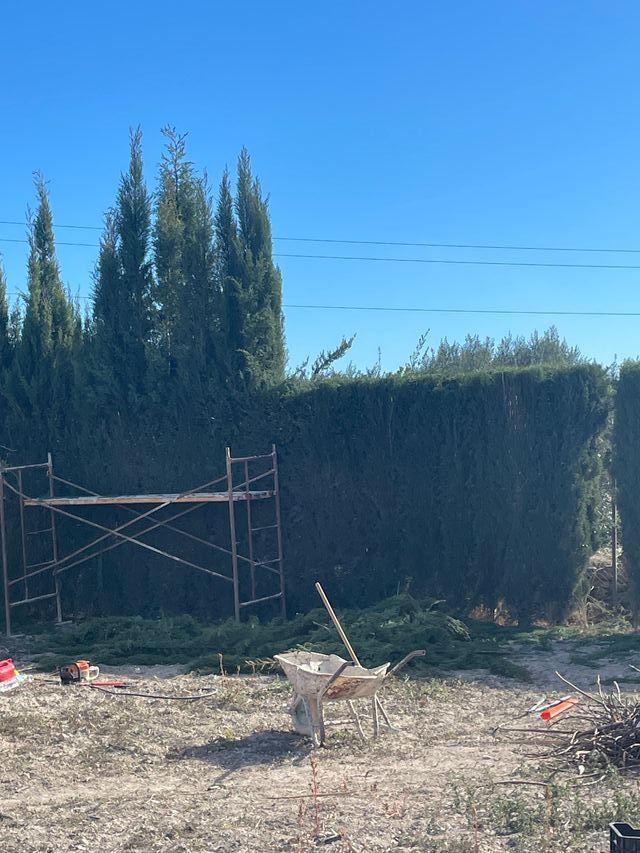 jardinero , limpieza, jardinería 