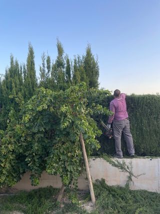 Jardinero