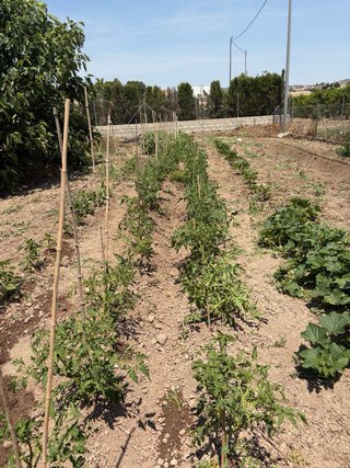 Jardinero