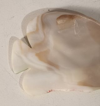 Conchiglia marina  di Madreperla a forma di pesce