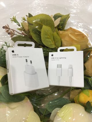 Caricabatterie Apple 20W USB-C + cavo Lightning
