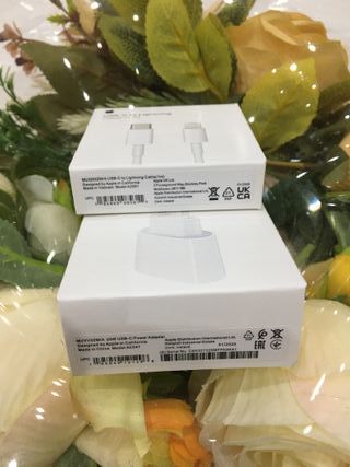 Caricabatterie Apple 20W USB-C + cavo Lightning