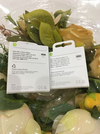 Caricabatterie Apple 20W USB-C + cavo Lightning