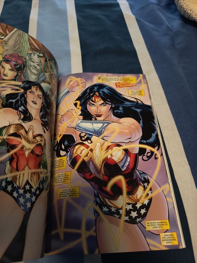 Wonder Woman: ¿Quién es Wonder Woman? (DC Pocket)