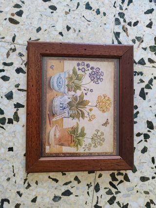 Marcos pequeños y cuadros flores y plantas 