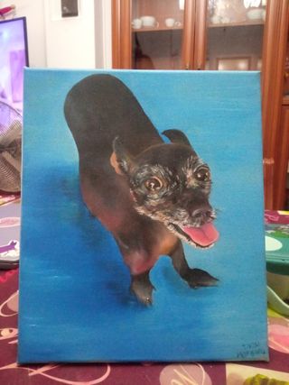 Retrato de mascota/animal por encargo