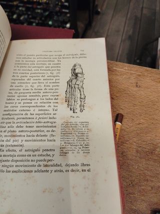 Compendio de anatomía para uso de los artistas 