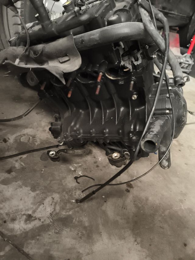 Motor Triumph Tiger 1050: Despiece