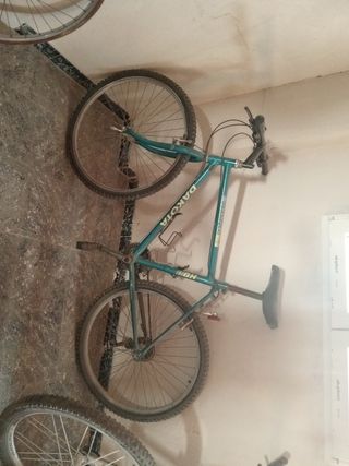 Bicicletas Vintage: paseo y niño