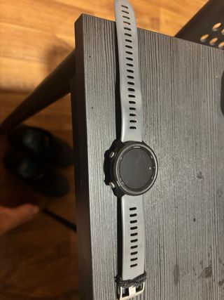 Garmin Forerunner 245 Gris
