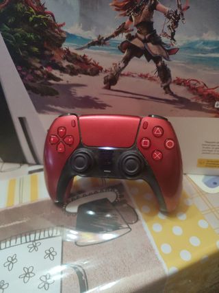 PS5 más PlayStation portal ,por ps5 pro