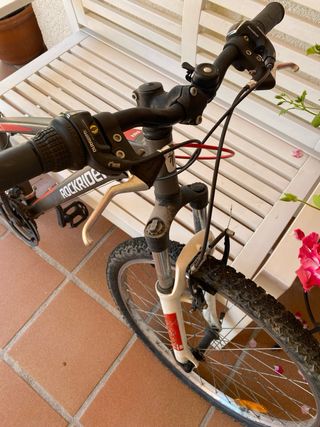Bicicleta de montaña