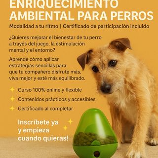 Curso Online Enriquecimiento Ambiental para Perros