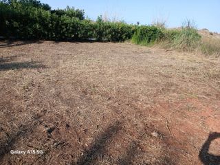 Desbroce y limpieza de terrenos