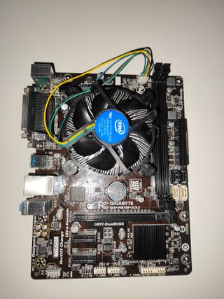 Placa base Gigabyte GA-H81M-DS2 + CPU