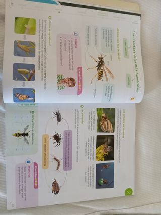 CIENCIAS DE LA NATURALEZA 3 PRIMARIA CONSTRUYEN...