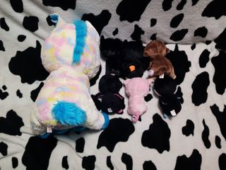 7 peluches coleccionables Ty