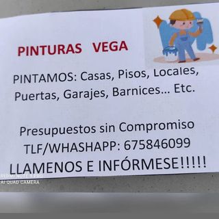 Pinturas vega llamenos 675846099