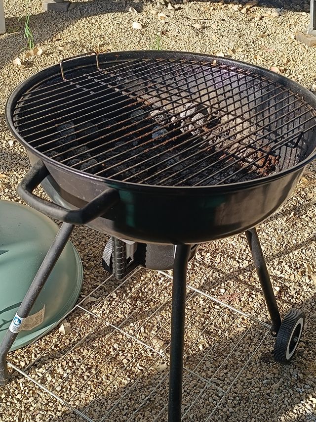Parrilla de carbón - Negra y Verde