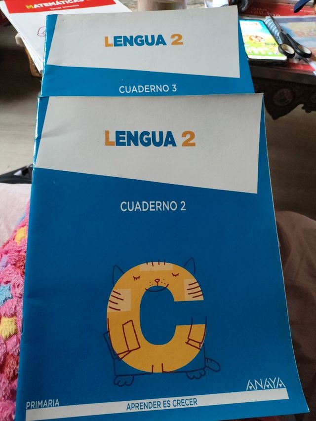 Lengua 2. Cuaderno 3.