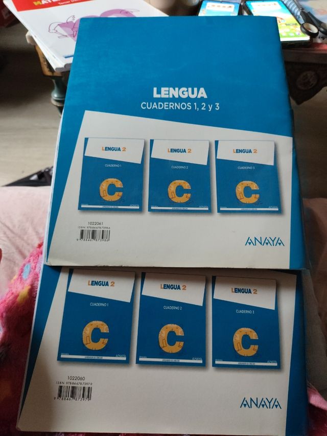 Lengua 2. Cuaderno 3.