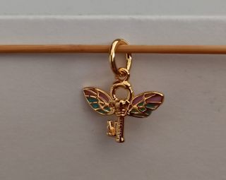 Charm Llave Alada Harry Potter.