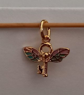 Charm Llave Alada Harry Potter.