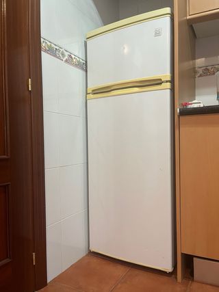 Frigorífico nevera blanca
