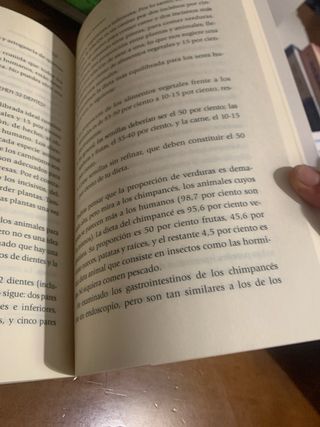 La Enzima Prodigiosa - Shinya