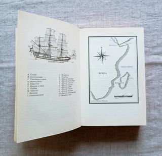 Il Ritorno Del Pirata