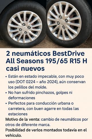 Neumáticos BestDrive AllSeason 195/65 R15