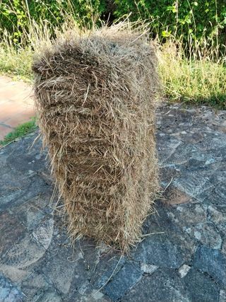 Hierba seca, balas de paja