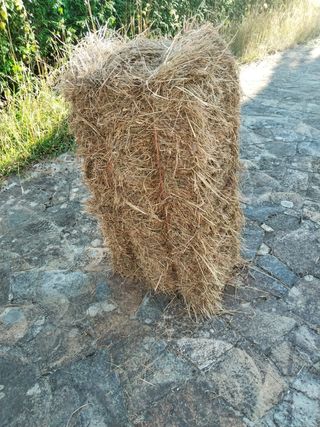 Hierba seca, balas de paja