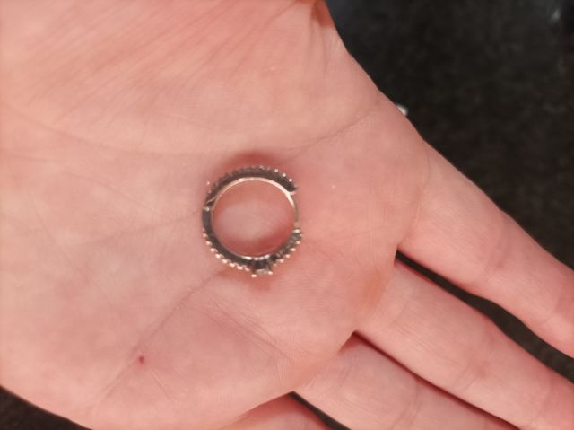 Pendientes Pandora Plata