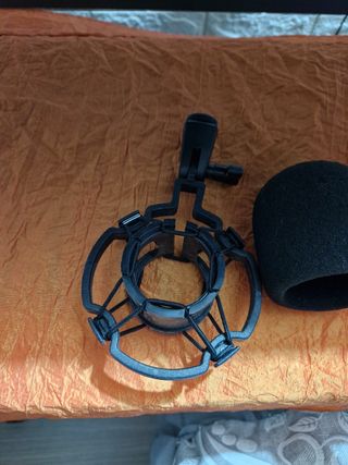 Microfono Branches BM-800 + supporto